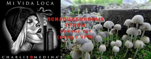 шишки Алзамай