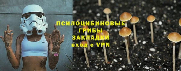 шишки Алзамай