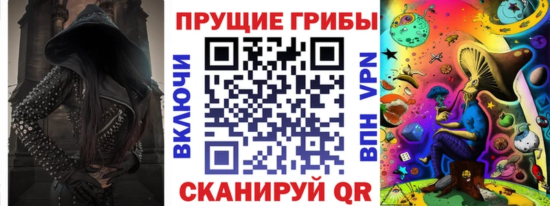 купить наркотики сайты  Лермонтов  Псилоцибиновые грибы Cubensis 